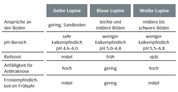 Tabelle 1 Blaue Süßlupine.png