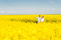 Rapeseed-flowering_culture_200.jpg