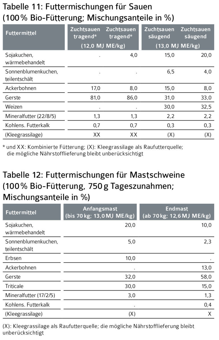 schwein Tab. 11&12.png