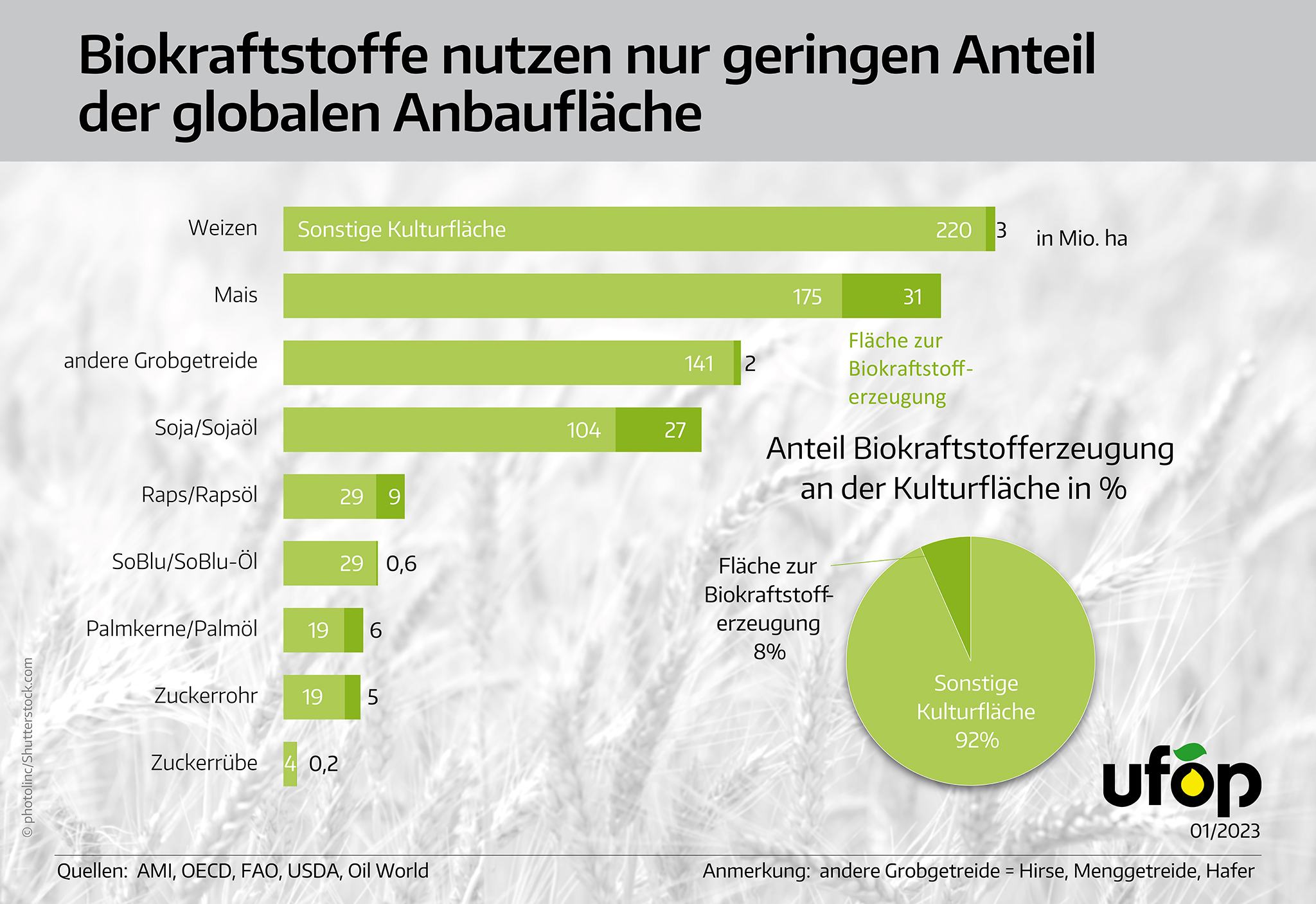 UFOP-Anbauflaeche_gering_für_Biokraftstoffe_260123.jpg
