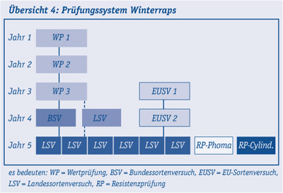 Pruefungssystem_Winterraps.jpg