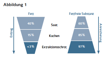 Abbildung-1.png