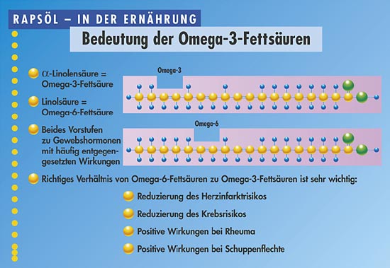 Seite13_550.jpg