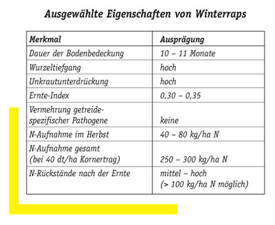Ausgewaehlte_Eigenschaften_Winterraps.jpg