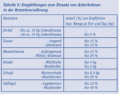 PI_Bohne_07.gif