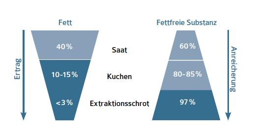 Abbildung 2_WEB_UFOP_1425_praxisinfo_rapsextraktionsschrot_mastgefluegel_041116_S4.png