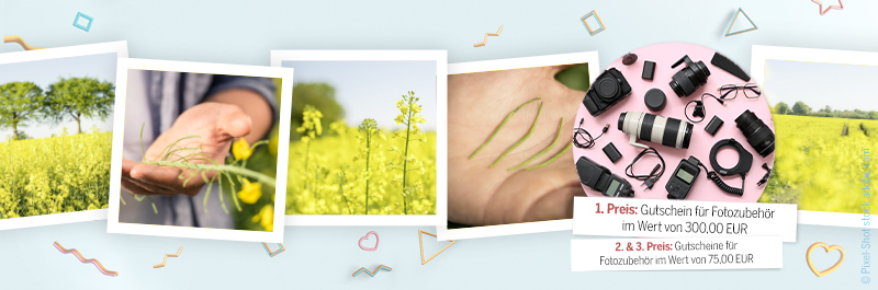 UFOP_0000_IG_Preise_Rapsliebe24_800x265_300dpi_080424 Kopie.jpg