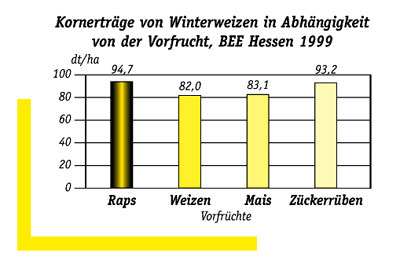 Kornerstraege_Winterweizen_in_Abhaengigkeit_Vorfrucht_1999.jpg