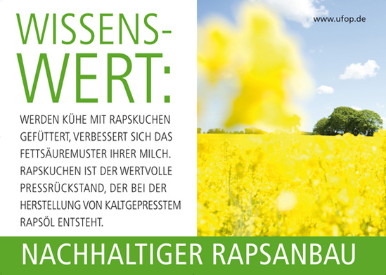 Rapskuchen_549.jpg