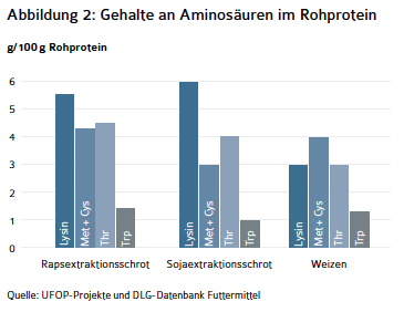 Abbildung 2.png