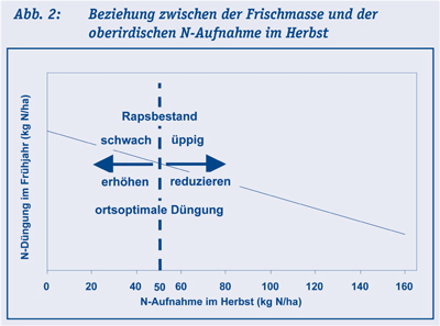 Optimierung_N_Duennung_Diagramm_2.jpg