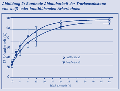 PI_Bohne_05.gif