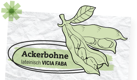 Ackerbohne_AG_VERBRAU.png