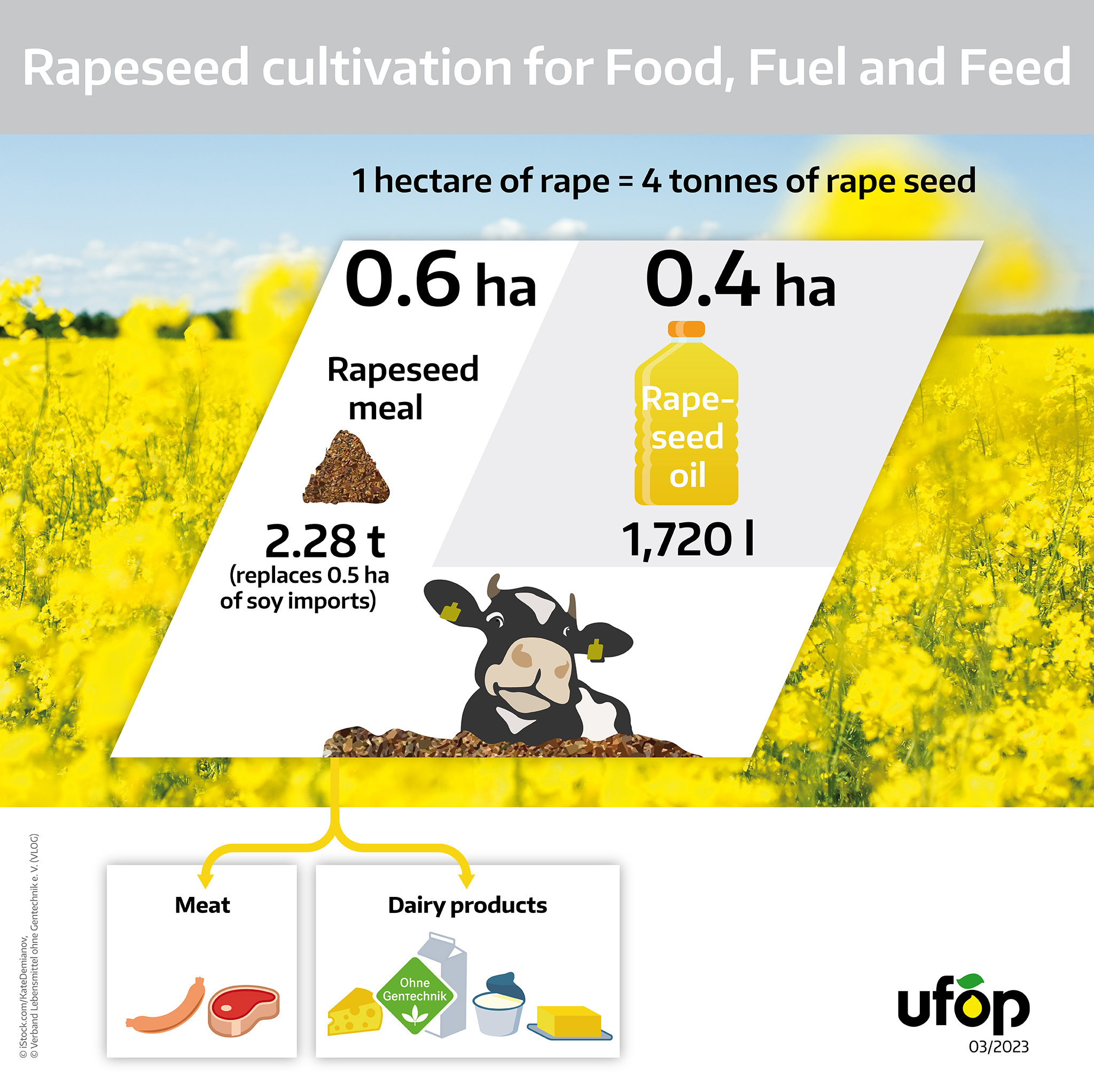 ENG_UFOP_Rapeseed uses per hectare_090323.jpg