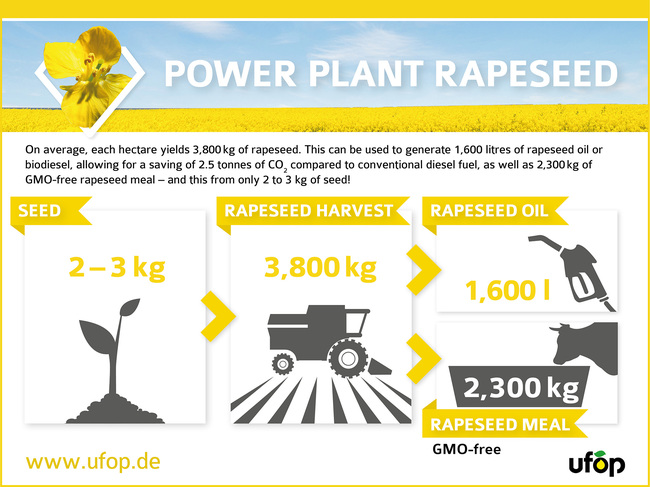 RZ_ENGL_UFOP_Raps_Kraftwerk_Infografik.jpg