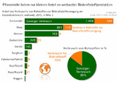 Grafik 28_17_Versorgungsbericht_Pflanzenöle haben nur kleinen Anteil an weltweiter Biokraftstoffproduktion.jpg