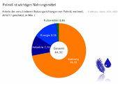 Grafik 32_17_Versorgungsbericht_Palmöl ist wichtiges Nahrungsmittel.jpg