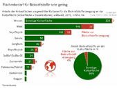 Grafik 31_17_Versorgungsbericht_Flächenbedarf für Biokraftstoffe sehr gering.jpg