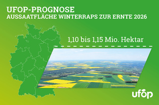 251111_UFOP-PM_Schaetzung_Rapsaussaat_2025_final_Pressebild.jpg