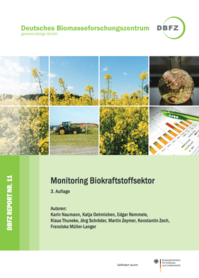 DBFZ-Report Monitoring Biokr.png