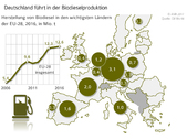 D_Einzelgrafiken17.jpg