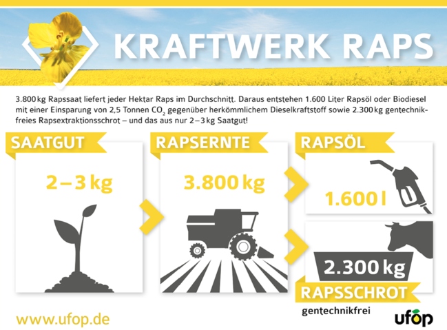 Kraftwerk Raps.png