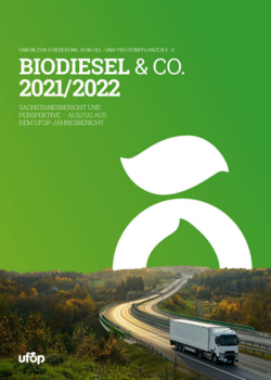 Covers WEB_Sachstandsbericht Biodiesel 2022.jpg