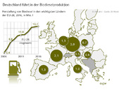 Grafik 17_17_Versorgungsbericht_Deutschland führt in der Biodieselproduktion.jpg